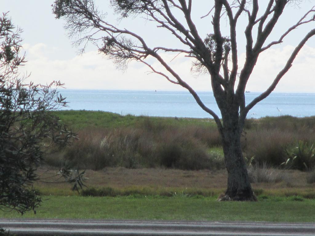 The Chocolate Box Leilighet Whitianga Rom bilde